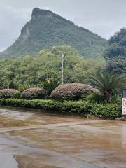 廣西桂林國家森林公園