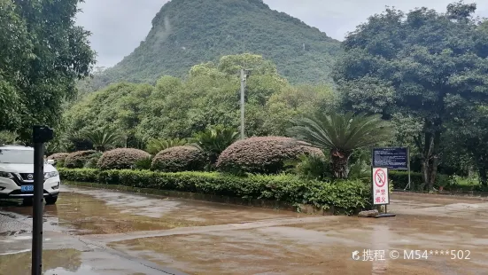 廣西桂林國家森林公園