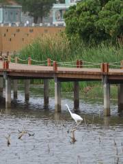 Wetland in Avenida da Praia, Taipa