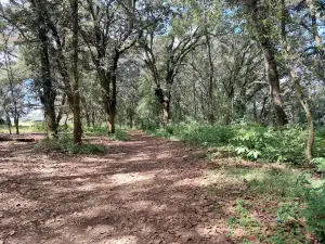 フロレンシア自然公園