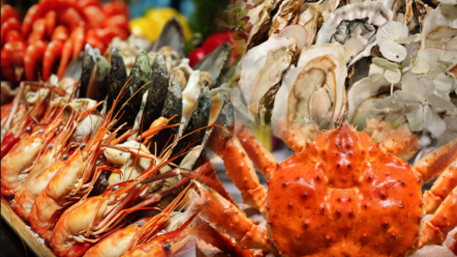 大肚林山庄·森林餐厅