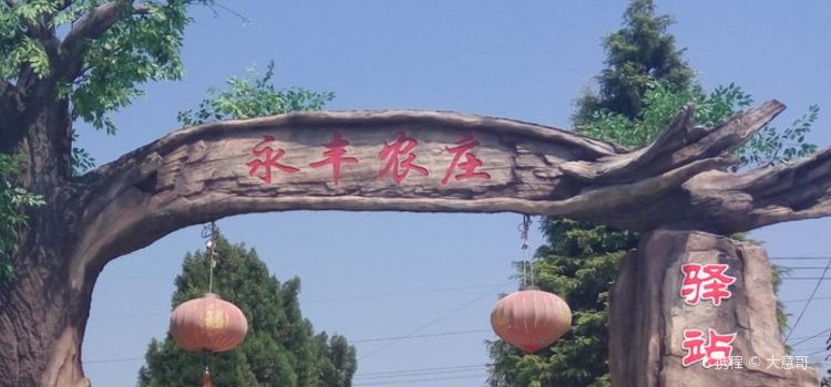 YONG FENG NONG ZHUANG