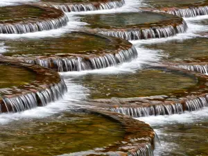 Fish Scale Dam