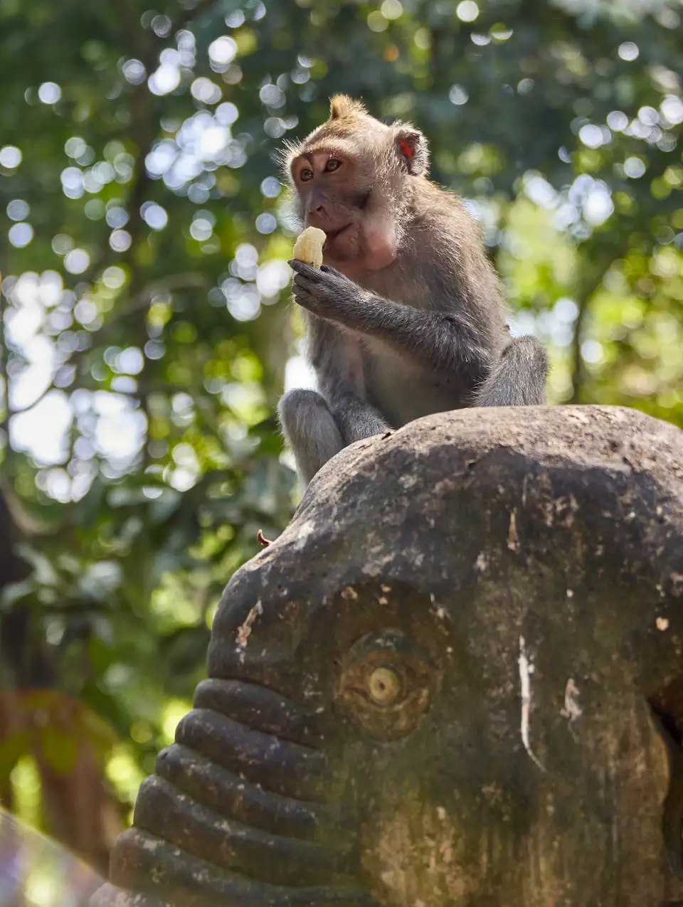 3_Sacred Monkey Forest Sanctuary