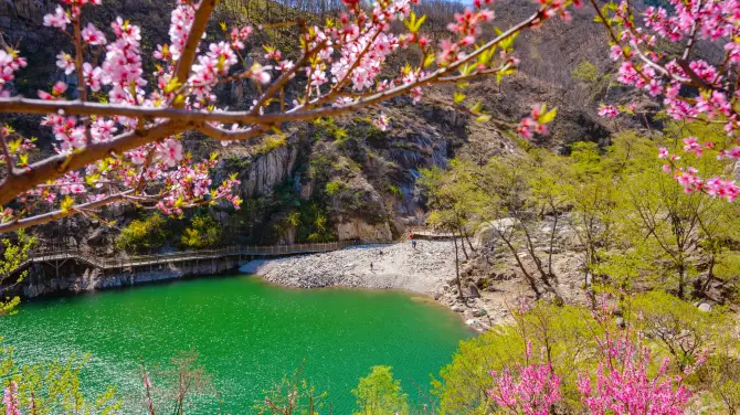 桃花峪