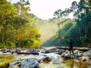 Parc national de Taman Negara