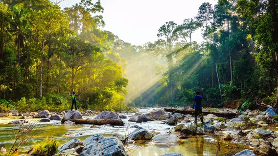 Vườn quốc gia Taman Negara
