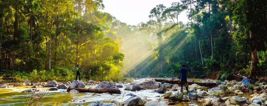 Parc national de Taman Negara