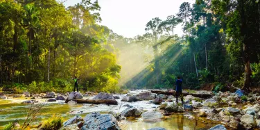 Parco nazionale di Taman Negara