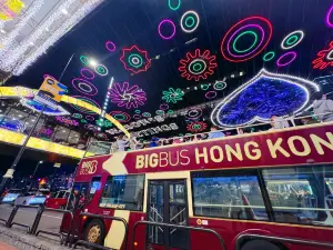 Big Bus隨上隨下巴士九龍遊