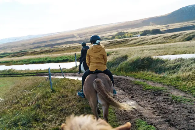 Horse Riding in Iceland