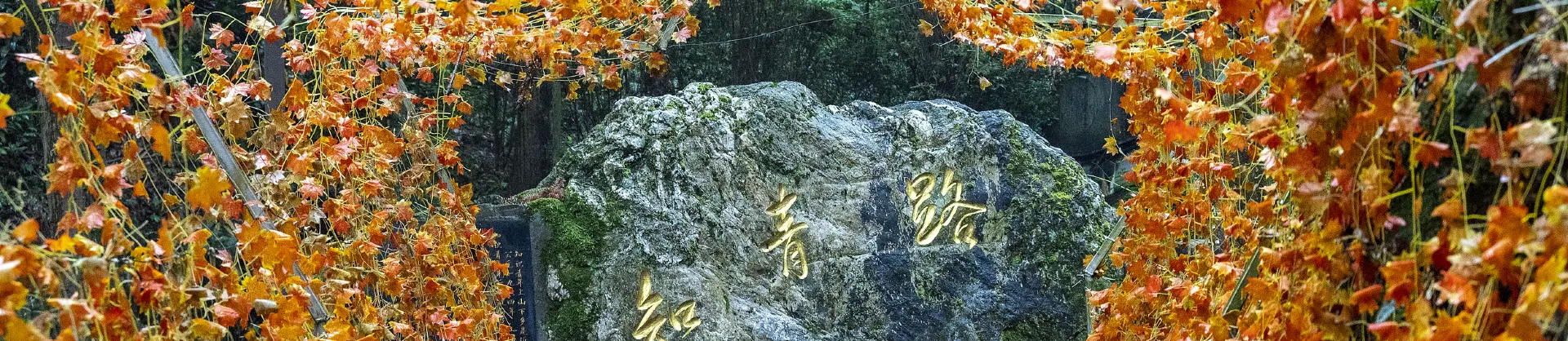 滑雪