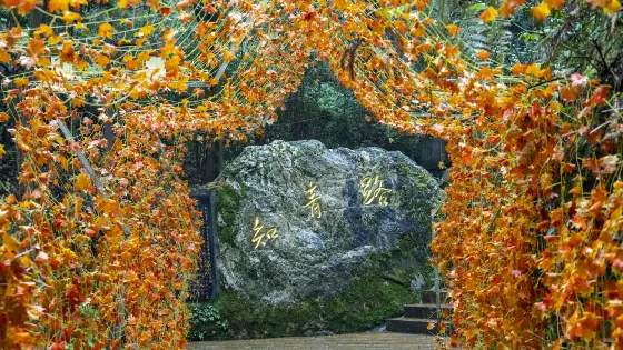 雲山國家森林公園