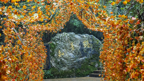 Yunshan National Forest Park