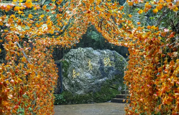 雲山國家森林公園門票長者