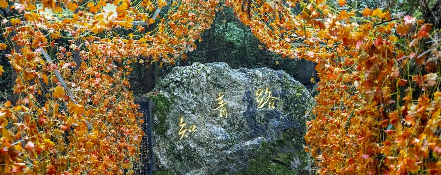 Yunshan National Forest Park