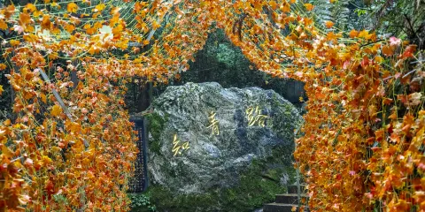 雲山國家森林公園