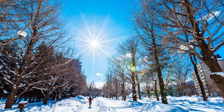 Nakajima Park
