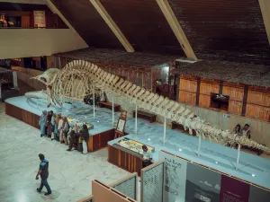 Sabah State Museum