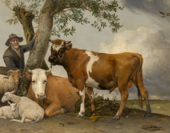PotterViewers - The Bull Under the Magnifying Glass | Mauritshuis Museum