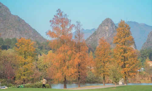 Guihai Qinglan