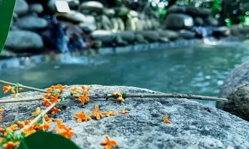 Sanjiang Forest Hot Springs Resort