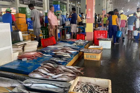 Easwary Seafood (Pvt) Ltd