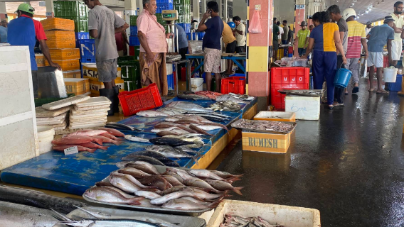 Easwary Seafood (Pvt) Ltd