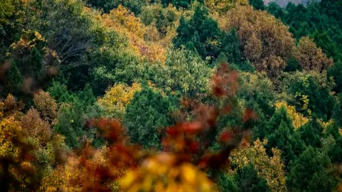 Shimen Mountain attraction in Jining
