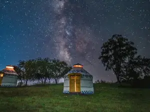 Attrazioni del Giro Notturno a Chifeng: le opzioni più popolari