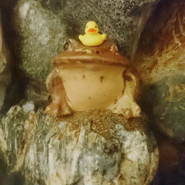 altTitle