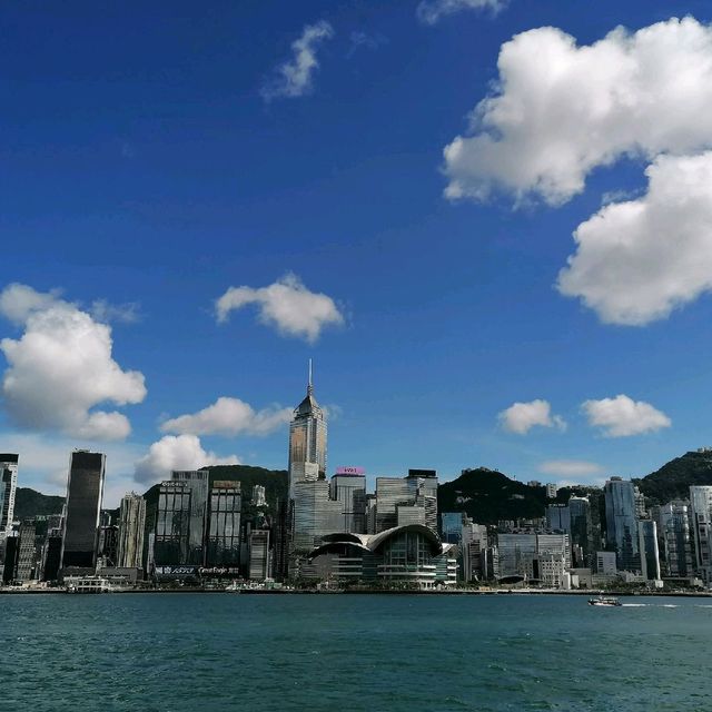 又高又大的玫瑰花種在尖東海旁K11門囗