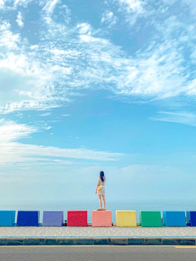 365일 무지개가 뜨는 제주도