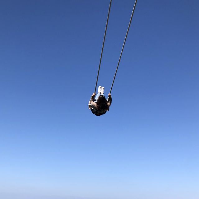 altTitle