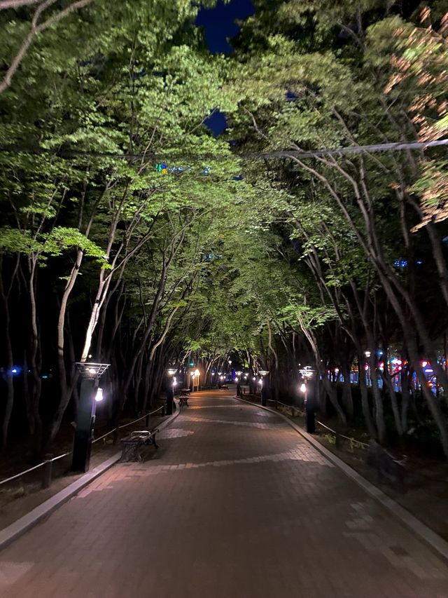 연등 아래서 밤산책 해요 