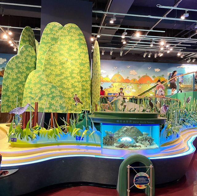 【 充滿趣味的兒童探知館 】 