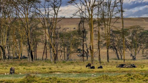 Chitwan National Park