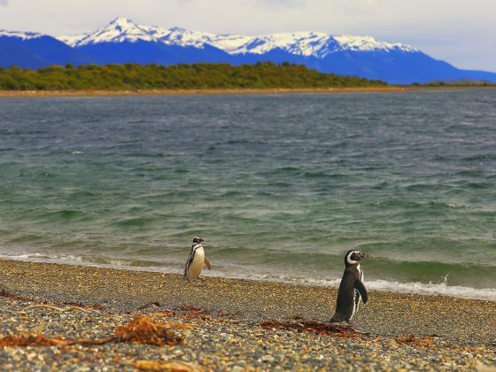 Boulders Beach