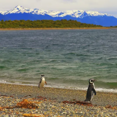 Отзывы об отеле StayEasy Cape Town City Bowl