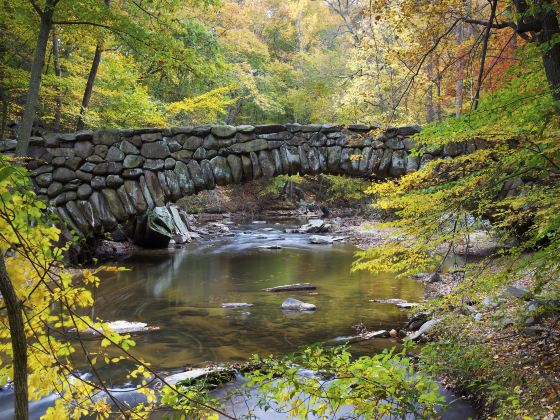 Rock Creek Park