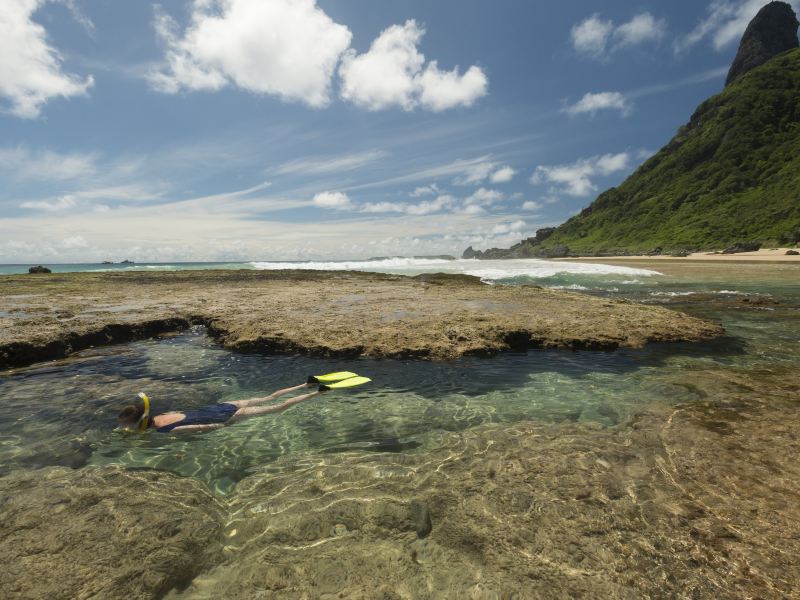 Phillip Island Nature Parks