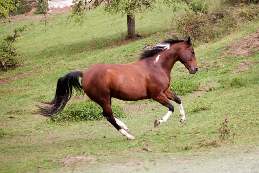 Guanshan Datang Private Ranch