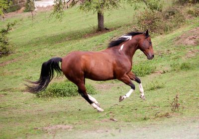 Guanshan Datang Private Ranch