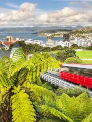 Wellington Botanic Garden