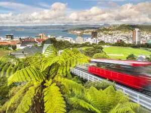 Wellington Botanic Garden