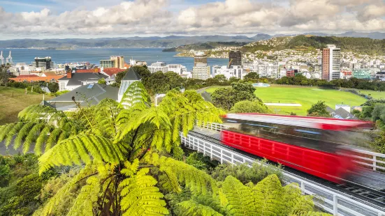 Wellington Botanic Garden