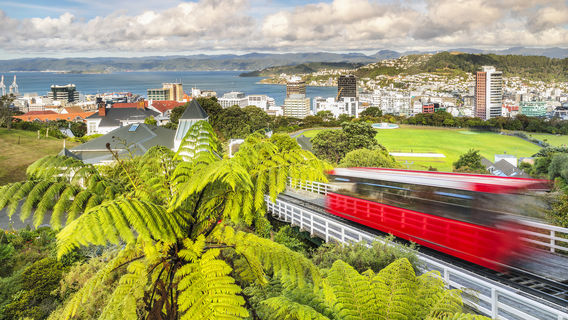 Wellington