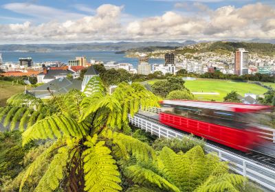 Wellington Botanic Garden