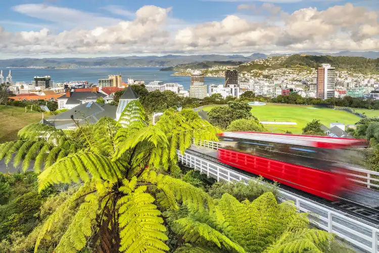 Wellington