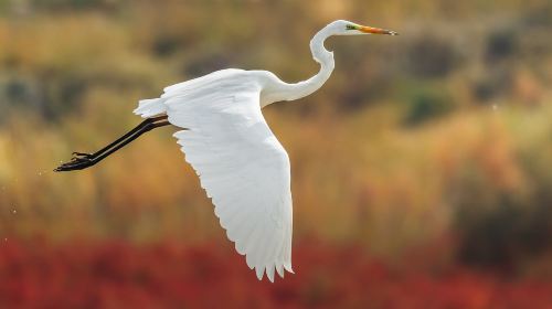 Longqi Wetland Park